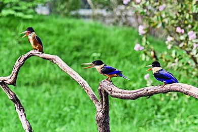 《不朽者传奇》或将在首发之后加入多人游戏模式