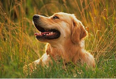 滨口直树：《最终幻想7：重制版》第三部的结局会让所有粉丝都满意